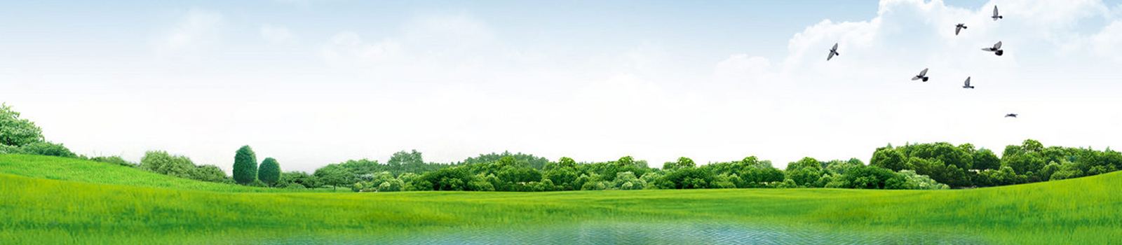 新闻动态广告图